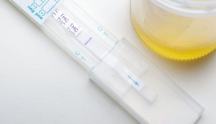 How long does thc stay in urine overweight